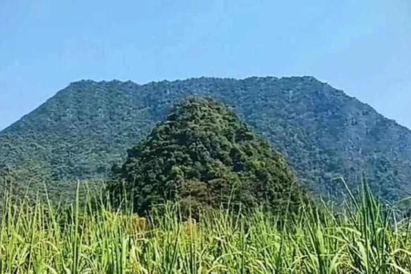 风水点穴_青蛙捕食穴应点在什么地方 风水点穴_青蛙捕食穴应点在什么地方