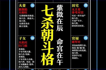 倪海厦天纪紫薇斗数排盘