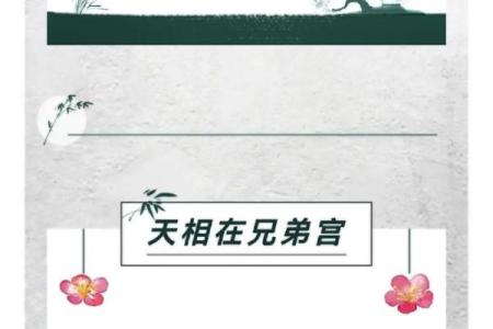 紫薇斗数宣传文案