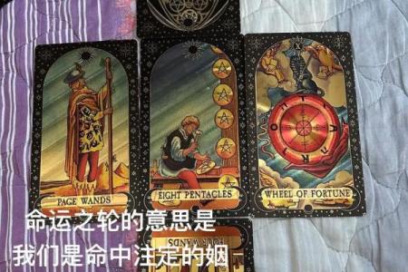 塔罗测试：失恋中你该怎么办？