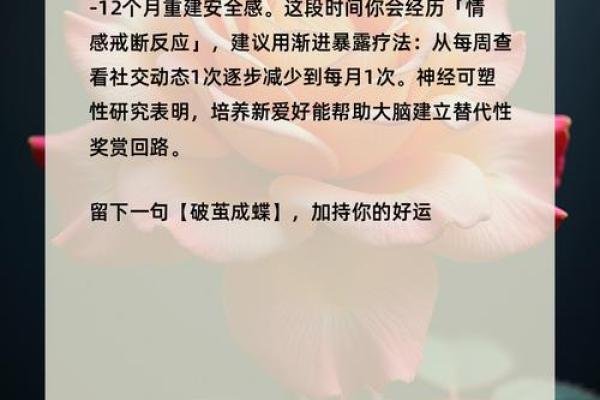 如何测试彻底断联的前任是否还放不下你 如何测试彻底断联的前任是否还放不下你