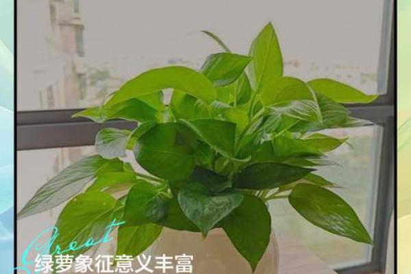 风水上什么颜色最招鬼 风水上什么颜色最招鬼