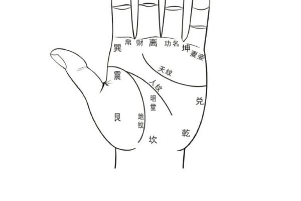 女人手纹算命图解,有福气的女人手相 女人手纹算命图解,有福气的女人手相