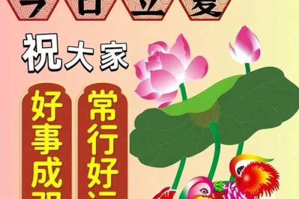 2024年夏至出生的孩子八字解析 一生运程如何