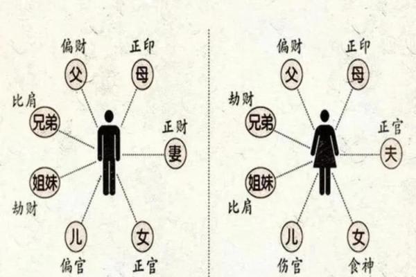 怎么样从八字测算兄弟姐妹 怎么样从八字测算兄弟姐妹