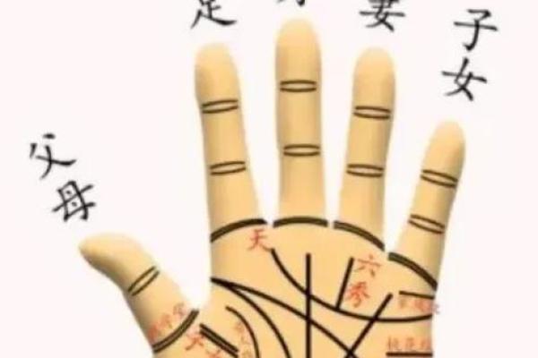 怎么看手相算命？只看男左女右对吗？
