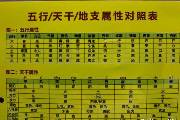 算命大师袁天罡简介,袁天罡五行相书