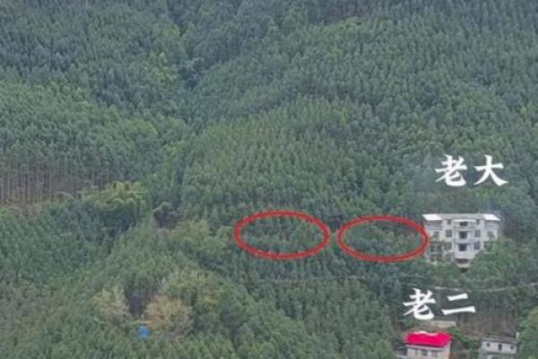 最好的坟墓风水标准是什么