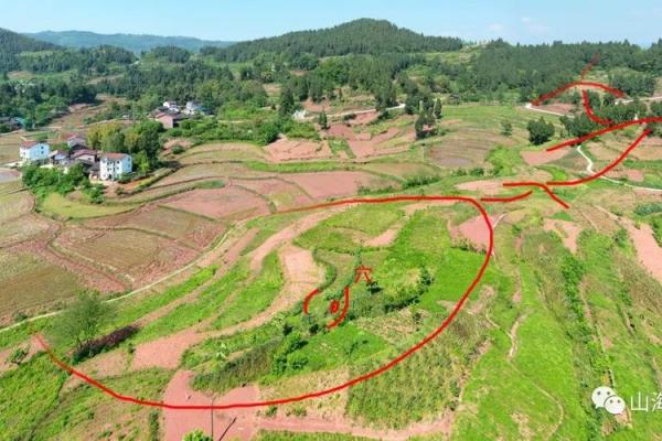 龙离房子远的风水怎样 龙离房子远的风水怎样