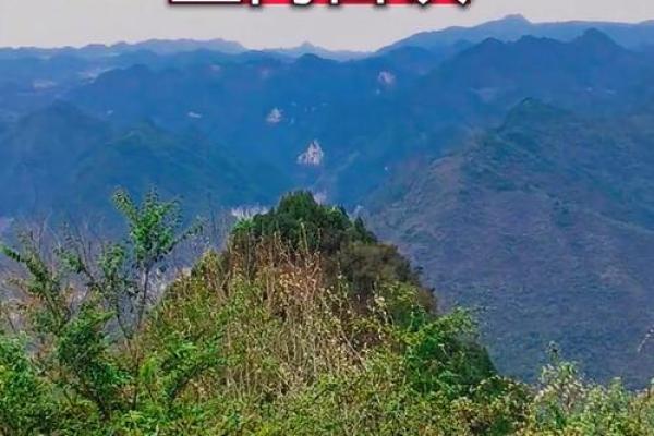 墓地风水坟地里埋什么旺家风水 墓地风水坟地里埋什么旺家风水