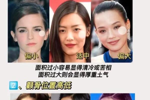 颧骨面相 颧骨面相算命图解 颧骨面相 颧骨面相算命图解