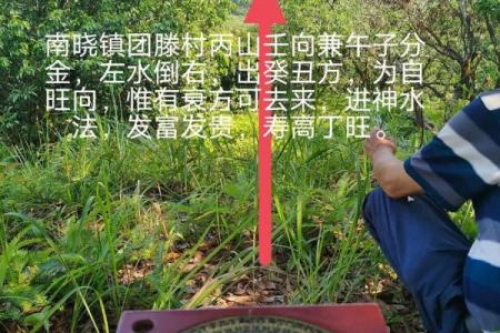 风水坟后多少米为靠山有助于吸取财气