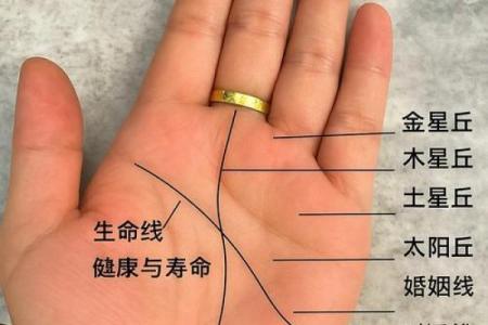 女人手纹算命图解,有福气的女人手相
