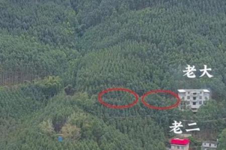 最好的坟墓风水标准是什么