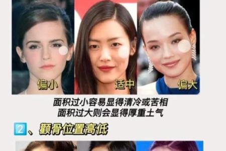 颧骨面相 颧骨面相算命图解