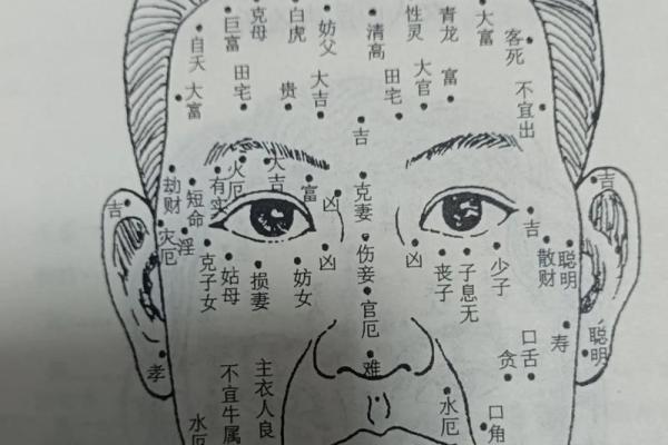 胎记的位置与算命图解 胎记的位置与算命图解