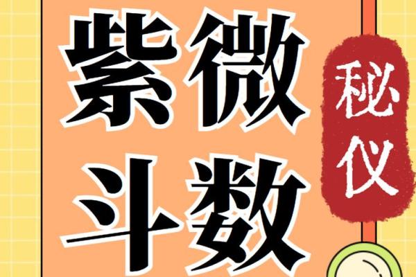 紫薇斗数身材 紫薇斗数身材