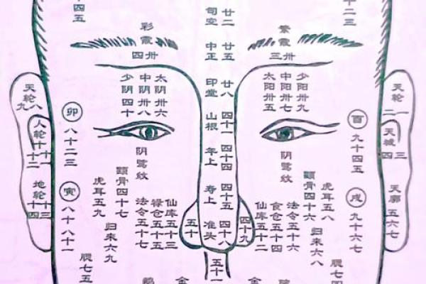 八字眉眉尾下垂的男人面相解析 八字眉眉尾下垂的男人面相解析