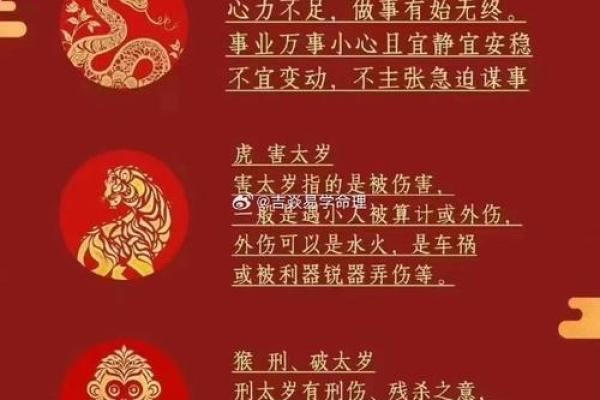 犯太岁会破财吗——八字算命 犯太岁会破财吗——八字算命