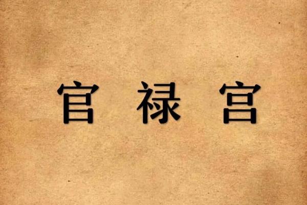 紫薇斗数事业宫有天姚 紫薇斗数事业宫有天姚