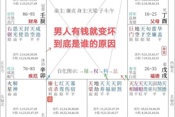 紫薇斗数事业宫有天姚 紫薇斗数事业宫有天姚