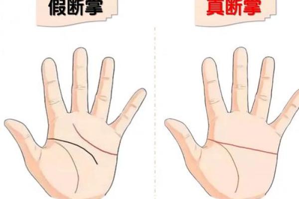 断掌纹看相算命图解 断掌纹看相算命图解