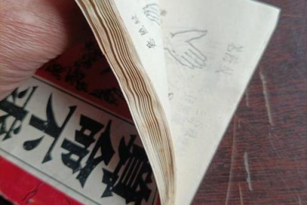 算命术有几个类型的 算命术有几个类型的