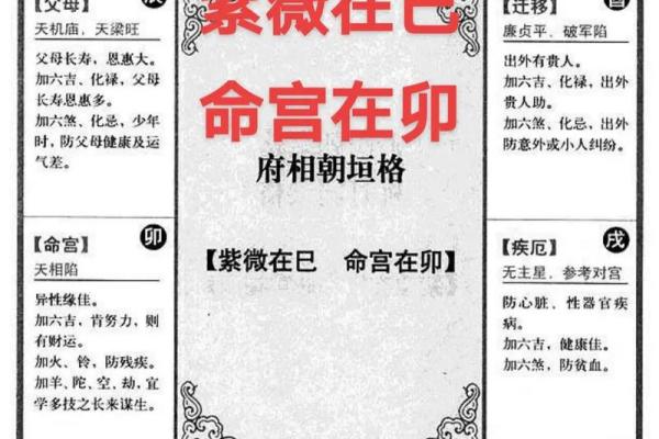 紫薇斗数紫薇在命