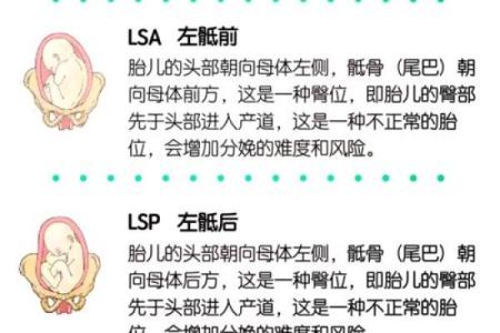 胎记的位置与算命图解