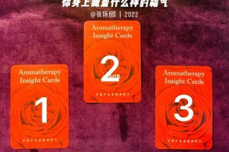 塔罗测试：积福德！今生你的福气来自哪里？