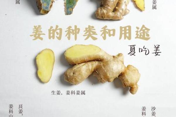 家种姜风水好吗 家种姜风水好吗