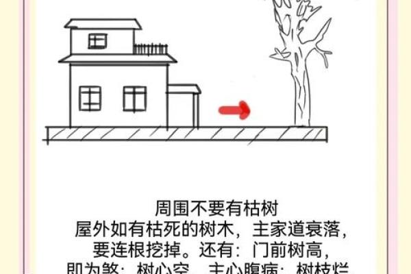 房子建在老路上风水好吗 房子建在老路上风水好吗