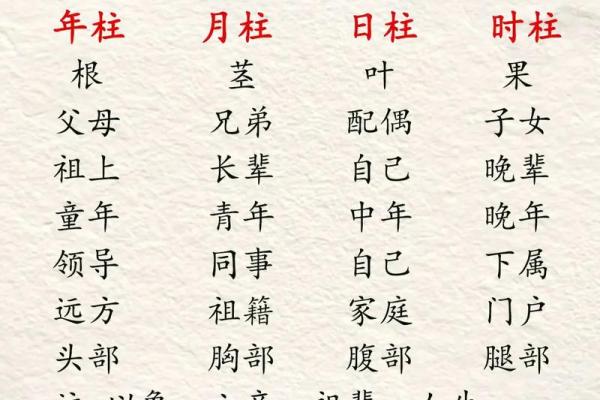 详解：周易从生辰八字怎么看寿命？