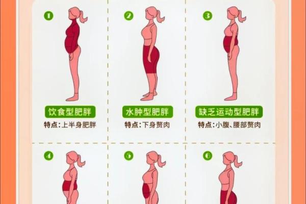 人胖与瘦八字命理组合揭秘 人胖与瘦八字命理组合揭秘