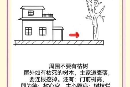 房子建在老路上风水好吗