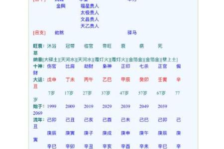 八字酉代表什么