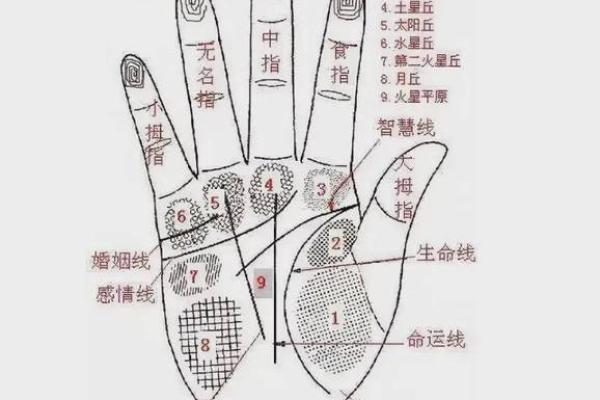图解：手相金星环算命