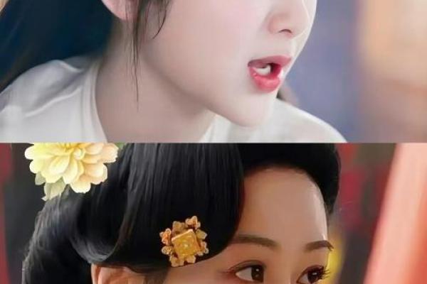 紫薇斗数杨紫 紫薇斗数杨紫