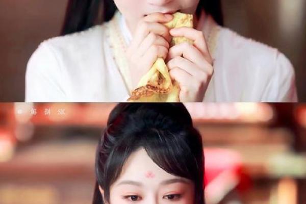 紫薇斗数杨紫 紫薇斗数杨紫