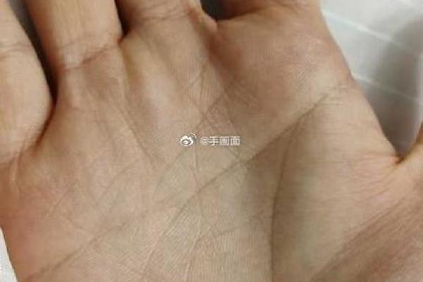 风水观点女子右手假断掌手相解析 风水观点女子右手假断掌手相解析