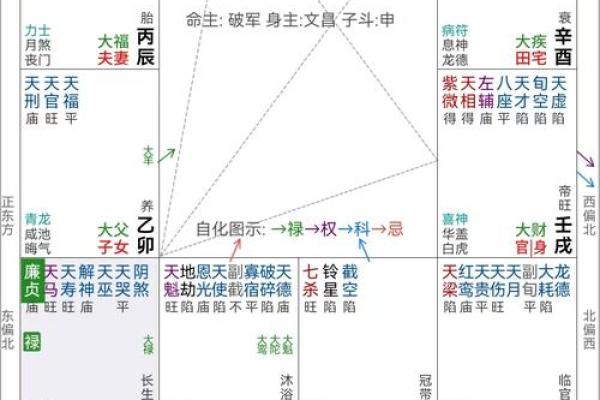 紫薇斗数中凤阁什么意思 紫薇斗数中凤阁什么意思