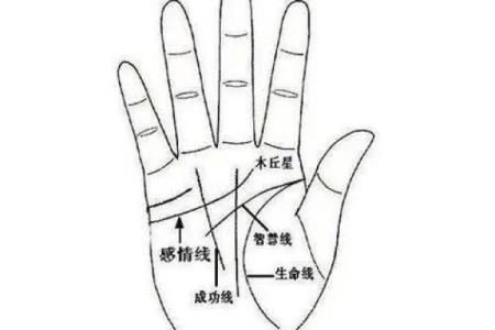男人断掌手纹算命图解