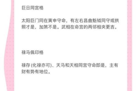 紫薇斗数术语逢