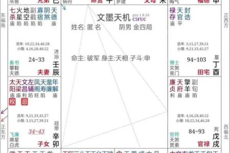 紫微斗数大限昌曲如何排 紫微斗数大限宫？