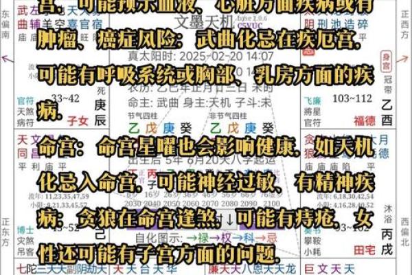 紫薇斗数老年看