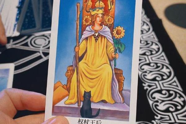 塔罗测试:这个冬季你会遇到什么好事? 塔罗测试:这个冬季你会遇到什么好事?