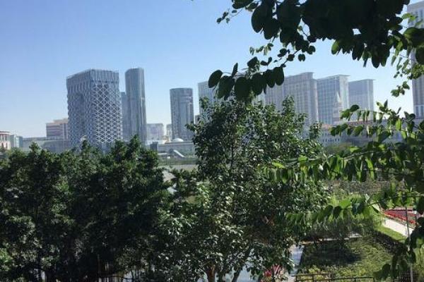 算命是不是越多越不好 算命是不是越多越不好