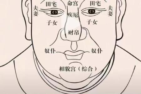 26种面型算命图解