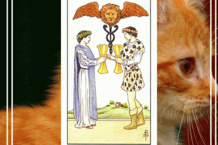 塔罗测试：这个冬季你会遇到什么好事？