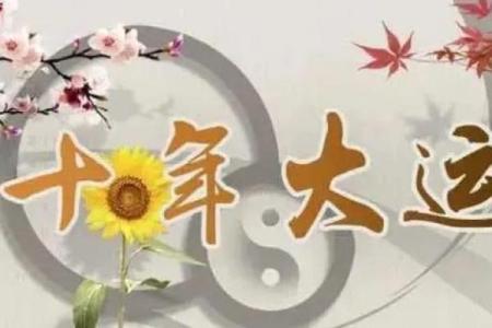 算命说交运是什么意思